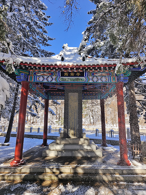 图片5.jpg